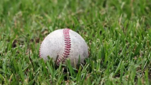Baseball Laying in Grass
